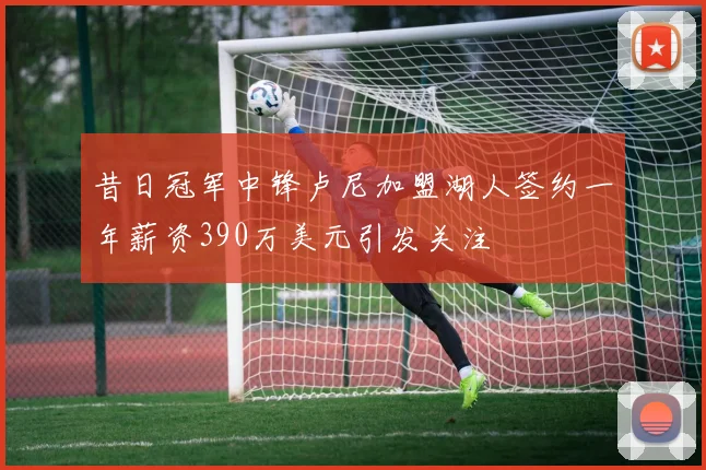 昔日冠军中锋卢尼加盟湖人签约一年薪资390万美元引发关注