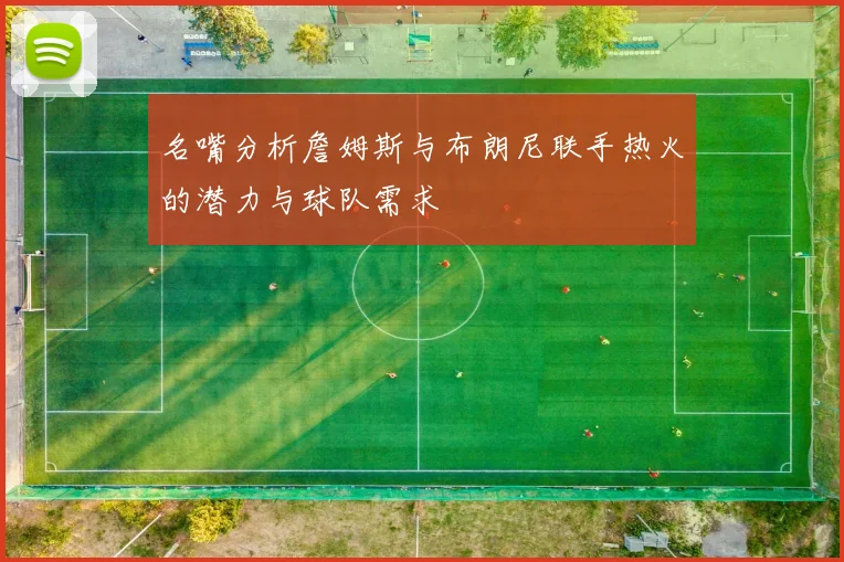 名嘴分析詹姆斯与布朗尼联手热火的潜力与球队需求